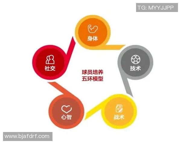 中国足球队支援球星崛起与发展历程分析